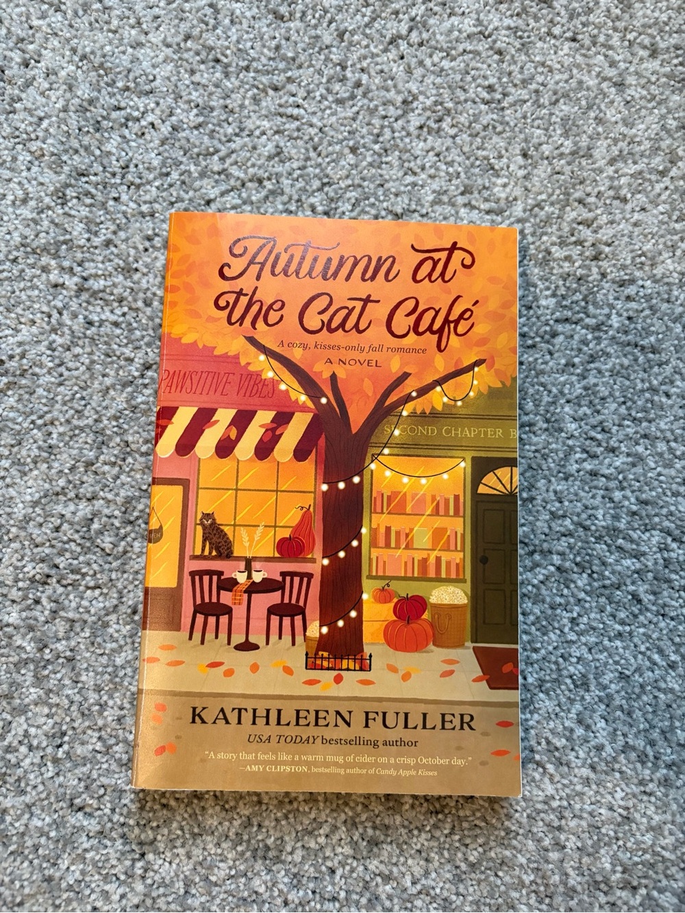 Autumn at the Cat Cafe book